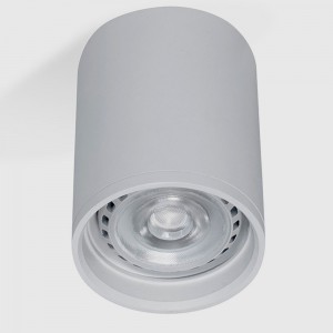 Lámpara Punto Iluminación | Plafón Tuba PAR 30 LED - PL TU PA30